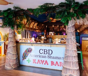 Kava Bar with palm trees on either side