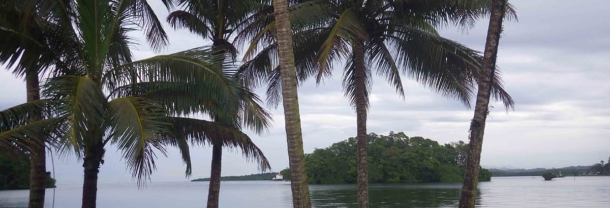 palm trees and bay on a beach in Fiji